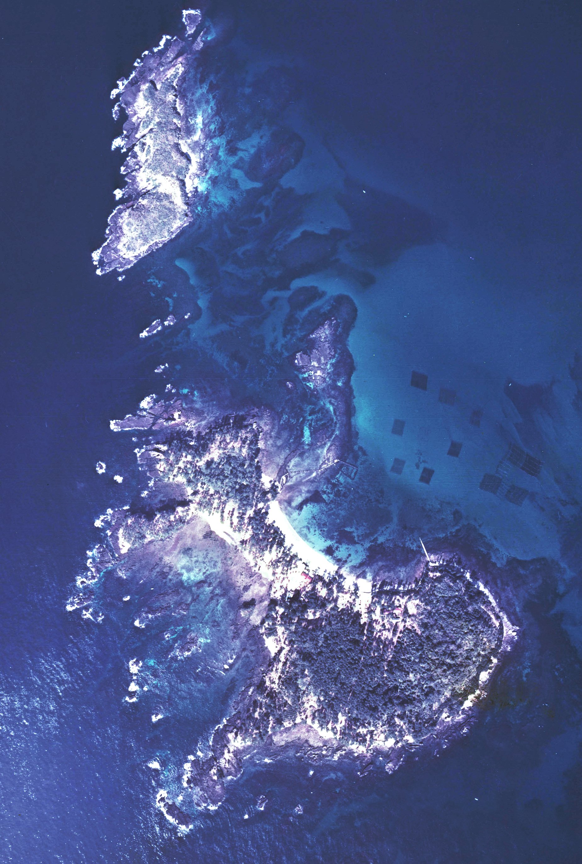 🏝️ 아쿠네 오시마 이미지 7